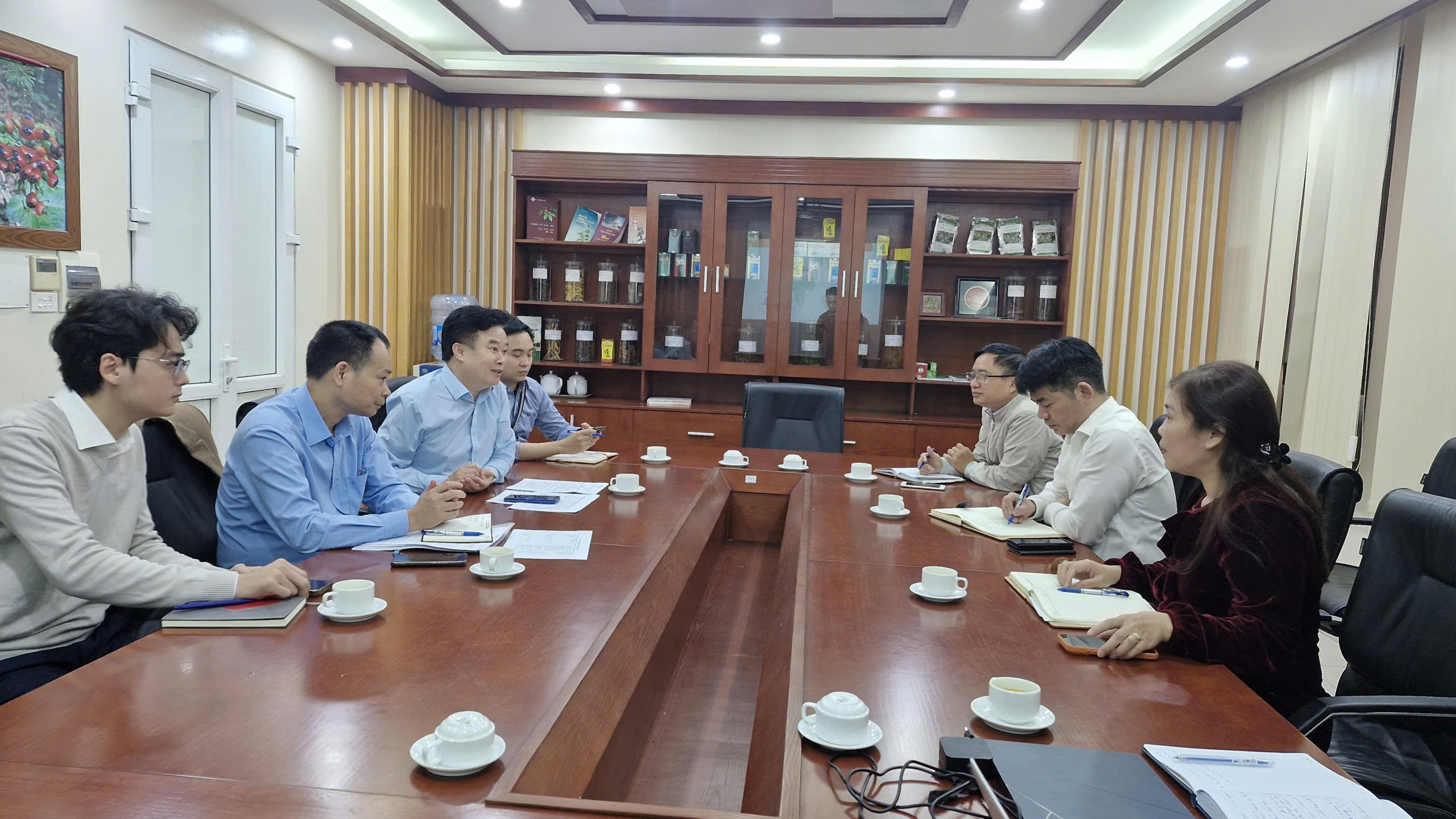 Không có ảnh